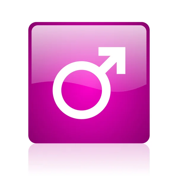 섹스 보라색 사각형 웹 광택 아이콘 — 스톡 사진
