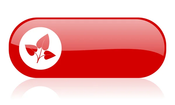 Eco czerwony WWW błyszczący ikona — Zdjęcie stockowe