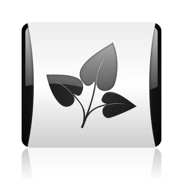 Eco web cuadrada en blanco y negro icono brillante —  Fotos de Stock