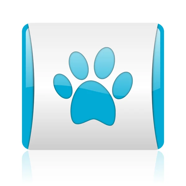 Dierlijke voetafdruk blauw en wit vierkant web glanzende pictogram — Stockfoto