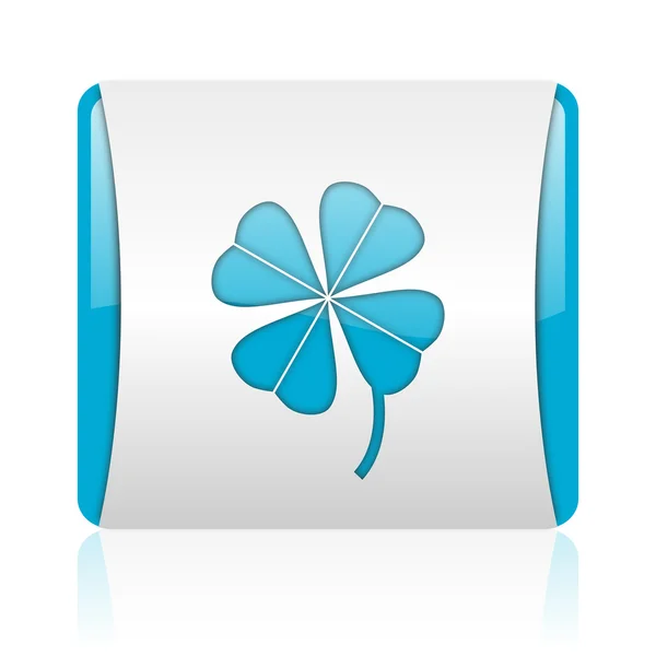 Four-leaf clover blue and white square web glossy icon — Stock Photo, Image