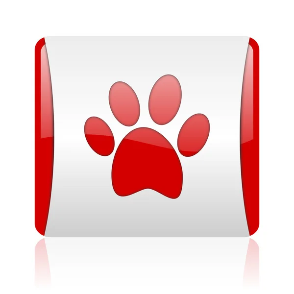 动物足迹红色和白色方形 web 光泽图标 — 图库照片