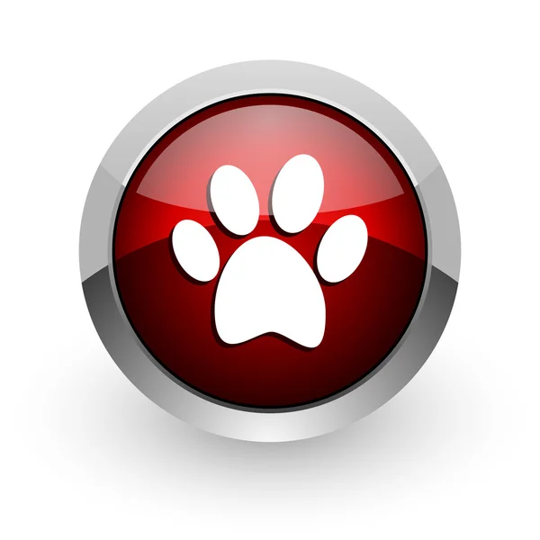 Zwierzę ślad czerwony koło WWW błyszczący ikona — Zdjęcie stockowe