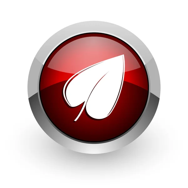 Leaf red circle web glossy icon — Stock Photo, Image