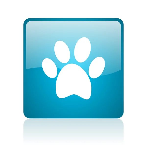 Impronta animale blu quadrato web icona lucida — Foto Stock