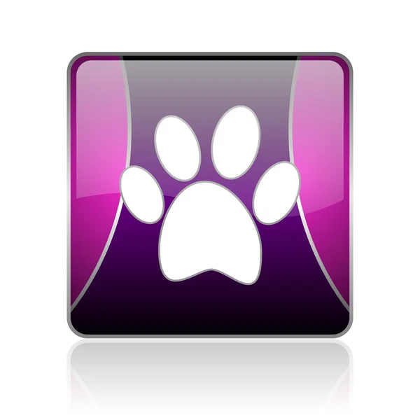 动物足迹紫平方米 web 光泽图标 — 图库照片