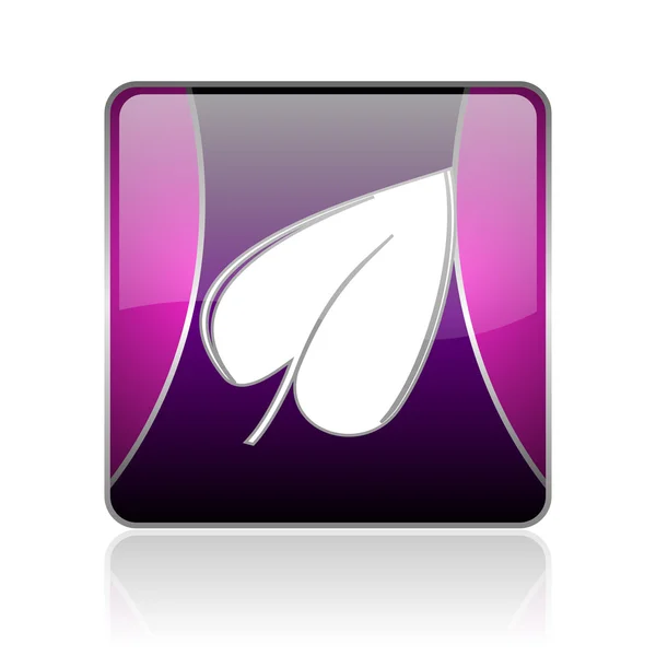 Feuille violet carré web brillant icône — Photo