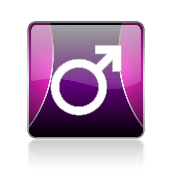 Sexe violet carré web brillant icône — Photo