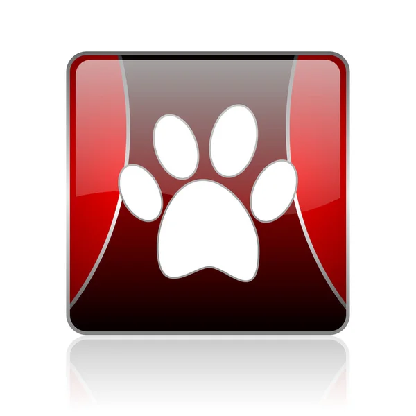 Animal footprint red square web glossy icon — Stock Photo, Image