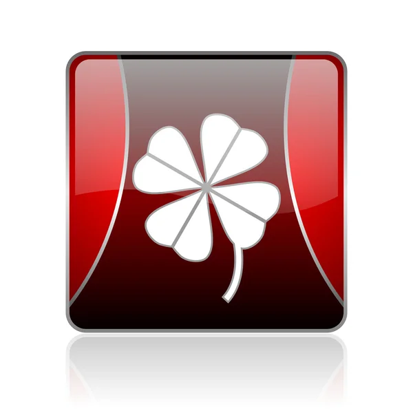 Four-leaf clover red square web glossy icon — Stock Photo, Image