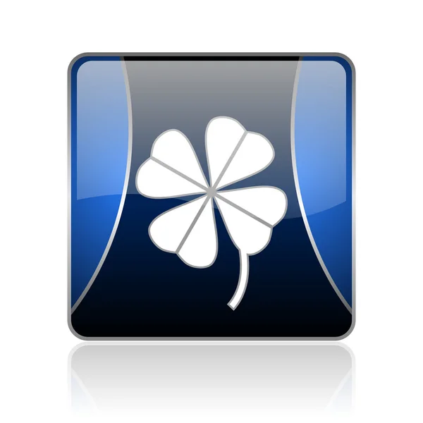 Trébol de cuatro hojas azul cuadrado web icono brillante —  Fotos de Stock