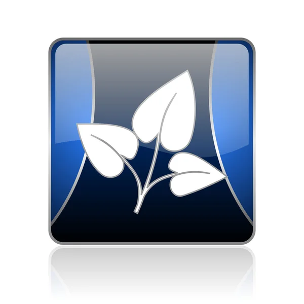 Eco blue square web Hochglanz-Symbol — Stockfoto