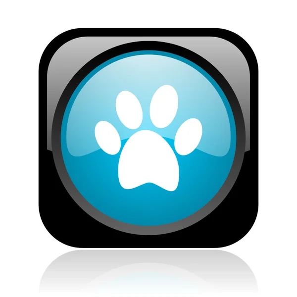 Animal footprint black and blue square web glossy icon — Stock Photo, Image