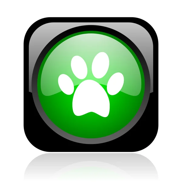 Animal footprint black and green square web glossy icon — Stock Photo, Image