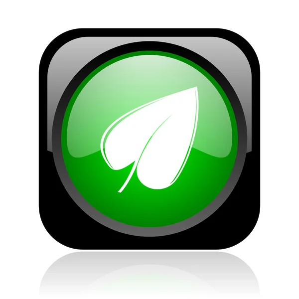 Φύλλα μαύρο και πράσινο τετράγωνο γυαλιστερό εικονίδιο web — Φωτογραφία Αρχείου