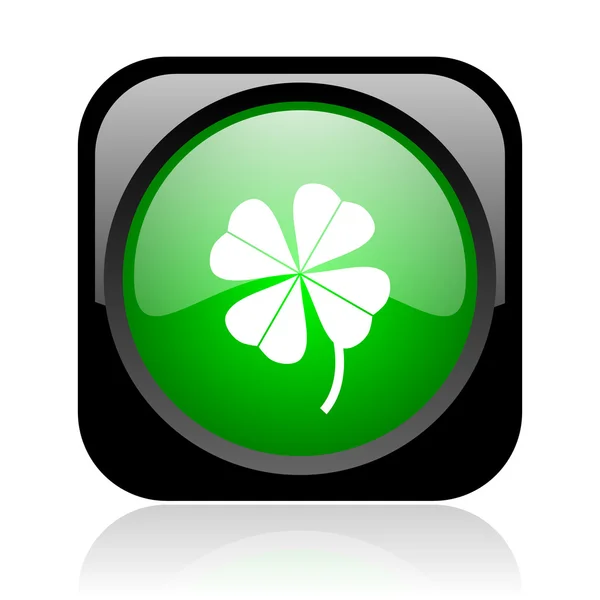 Four-leaf clover black and green square web glossy icon — Stock Photo, Image