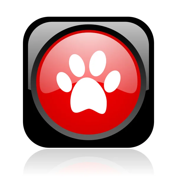 Impronta animale nero e rosso quadrato web icona lucida — Foto Stock
