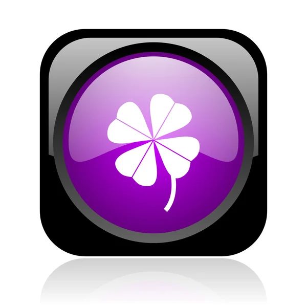 Four-leaf clover black and violet square web glossy icon — Stock Photo, Image