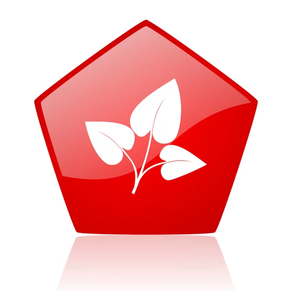 Eco czerwony WWW błyszczący ikona — Zdjęcie stockowe