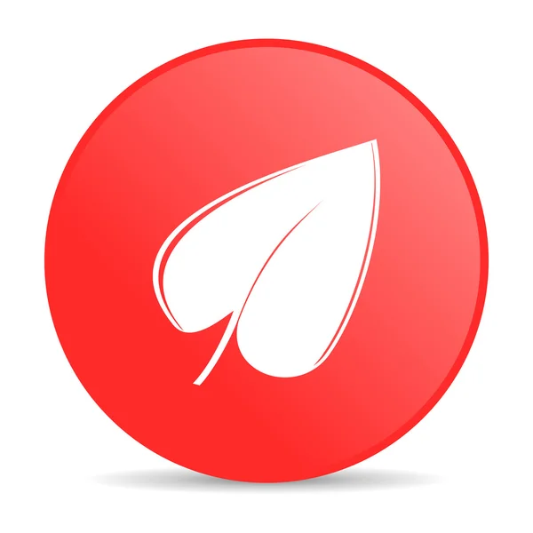 Yaprak kırmızı daire web parlak simgesi — Stok fotoğraf