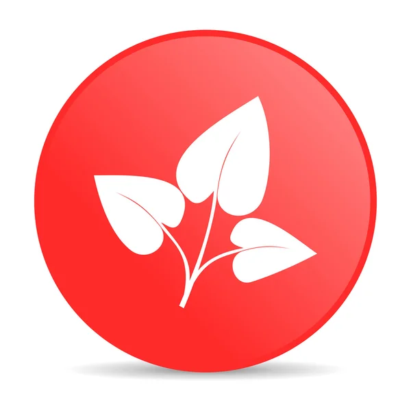 Eco vermelho círculo web ícone brilhante — Fotografia de Stock