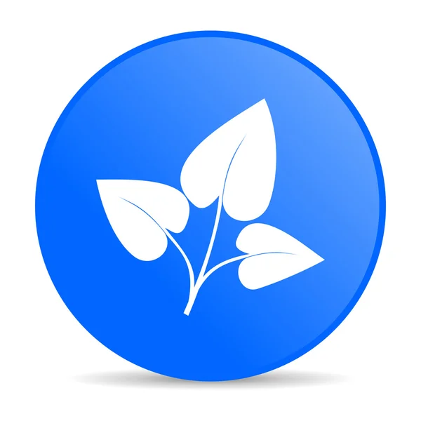 Eco azul círculo web ícone brilhante — Fotografia de Stock