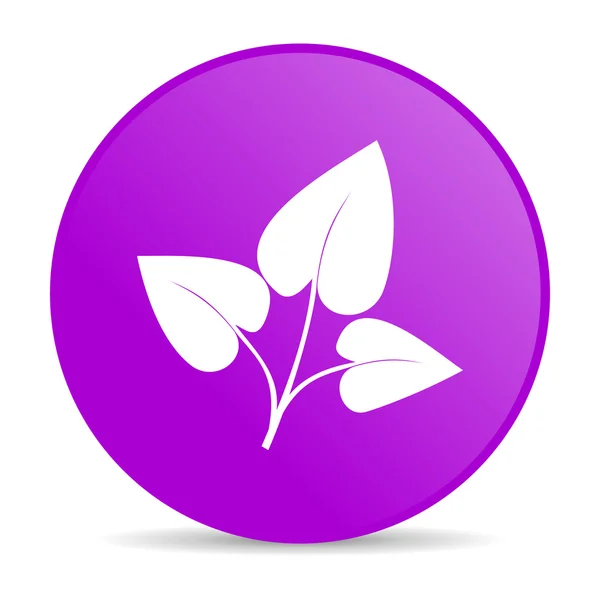 Öko-violetten Kreis Web-Hochglanz-Symbol — Stockfoto