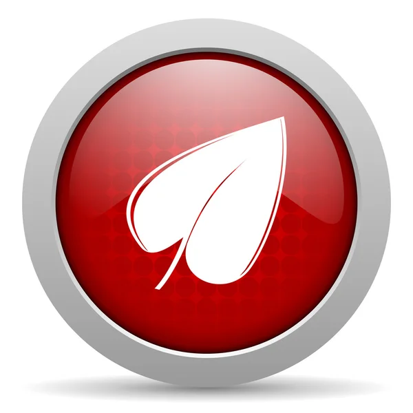 Leaf red circle web glossy icon — Stock Photo, Image