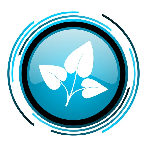 Eco modrý kruh lesklý ikona — Stock fotografie