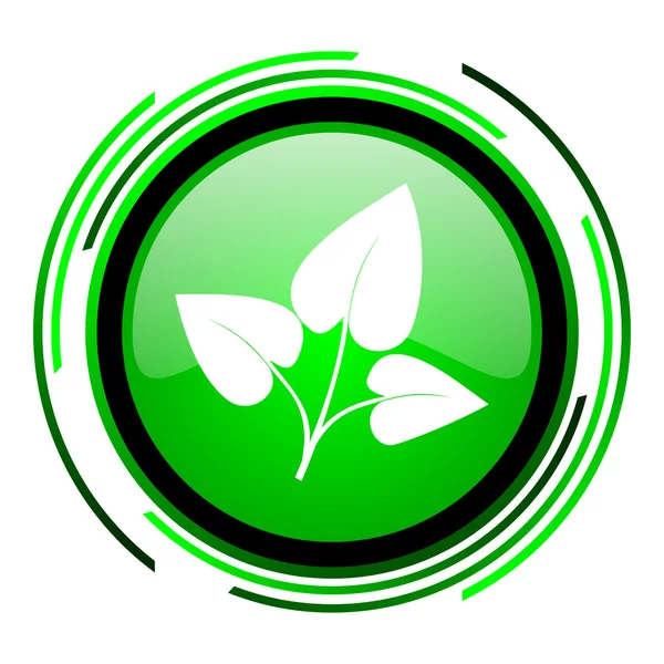Eco zelený kruh lesklý ikona — Stock fotografie
