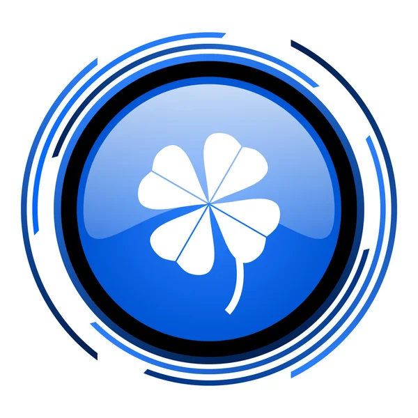 Cercle de trèfle à quatre feuilles icône brillante bleue — Photo