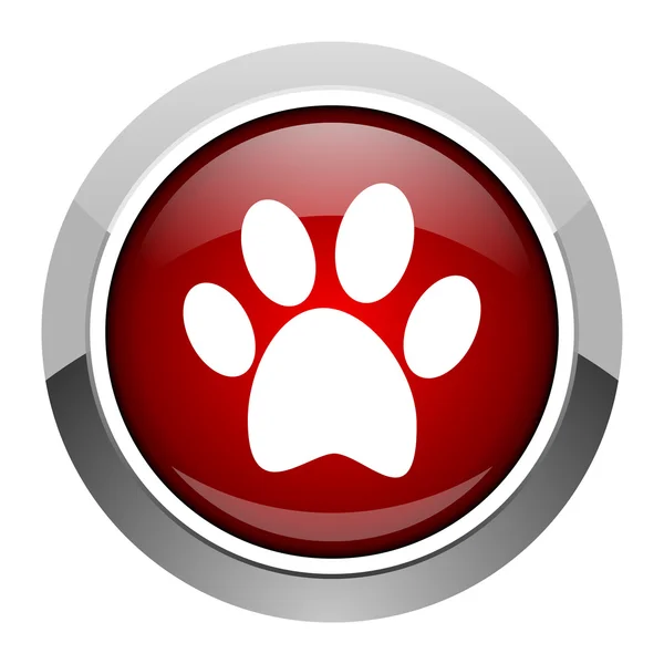 Animal footprint icon — Stock Photo, Image