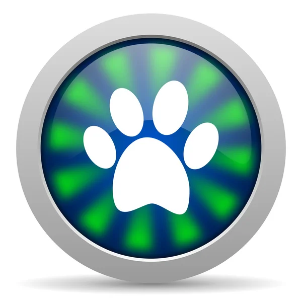 Animal footprint icon — Stock Photo, Image