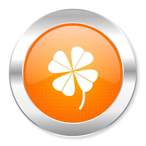 Four-leaf clover icon — Stock Photo, Image