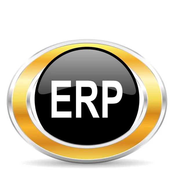 Erp 图标 — 图库照片