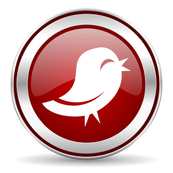 Icono de Twitter — Foto de Stock