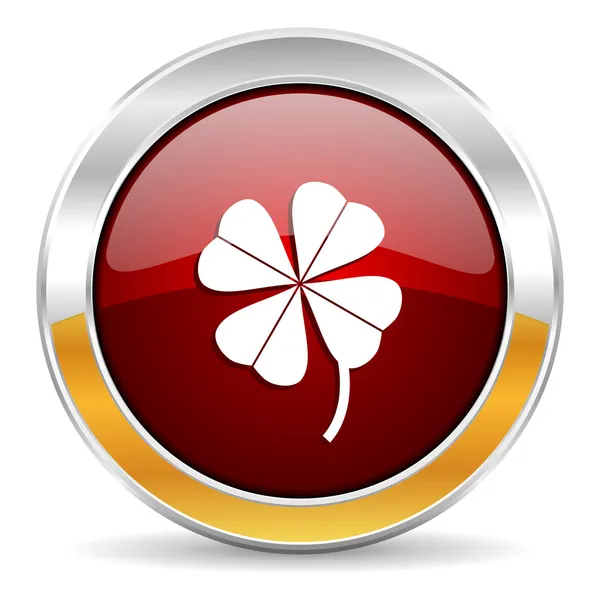 Four-leaf clover icon — Stock Photo, Image