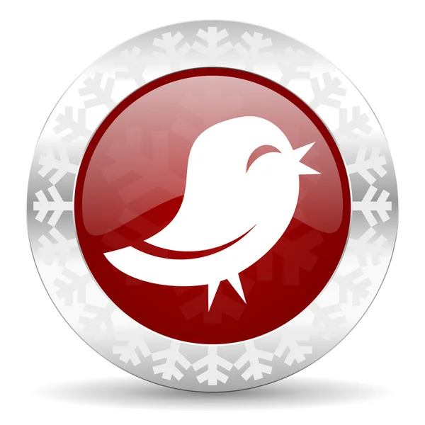 Ikona Twittera — Zdjęcie stockowe