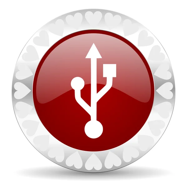 USB-de dag van Valentijnskaarten pictogram — Stockfoto