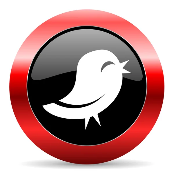 Icono de Twitter — Foto de Stock