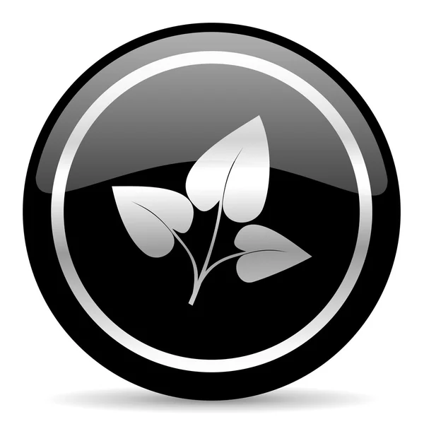 Blad pictogram — Stockfoto