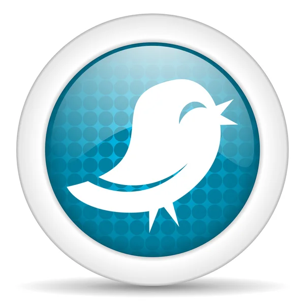 Twitter icon — Stock Photo, Image