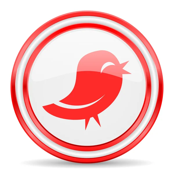 Twitter red white icona web lucida — Foto Stock