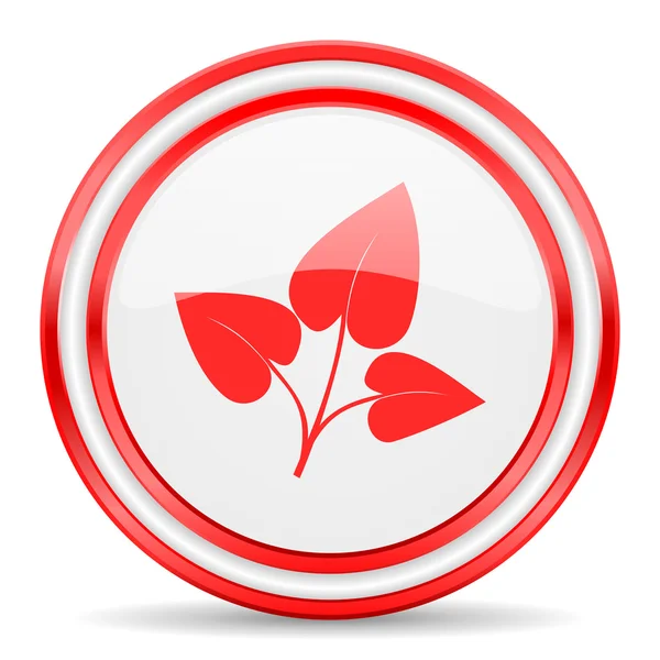 Leaf röd vit blank web icon — Stockfoto