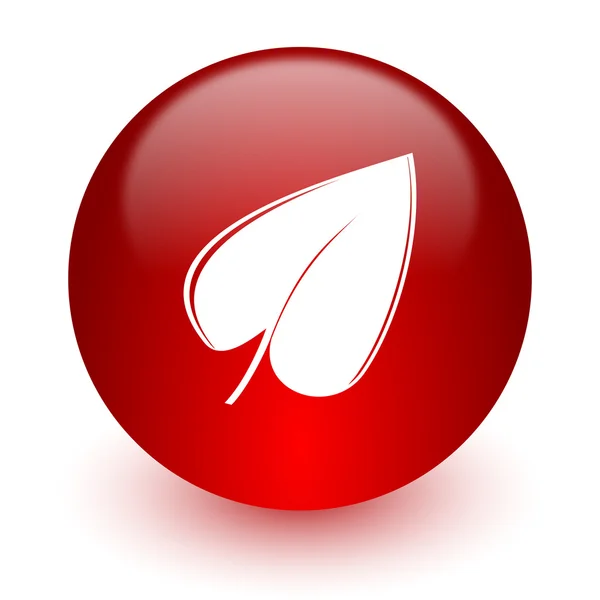 Листя червоного комп'ютера значок на білому фоні — стокове фото