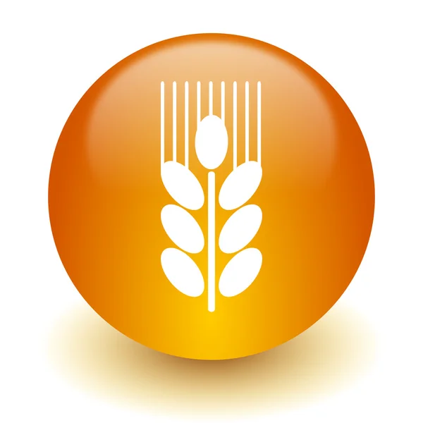 Grain icon — Stock Photo, Image