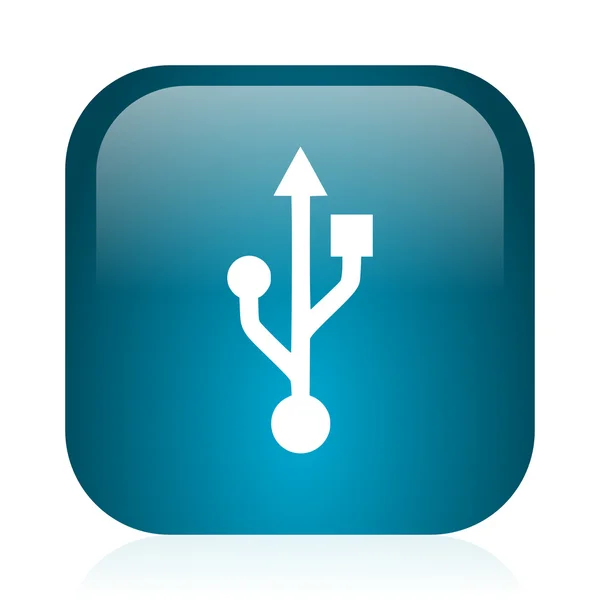 Usb blue glossy internet icon — Stock Photo, Image