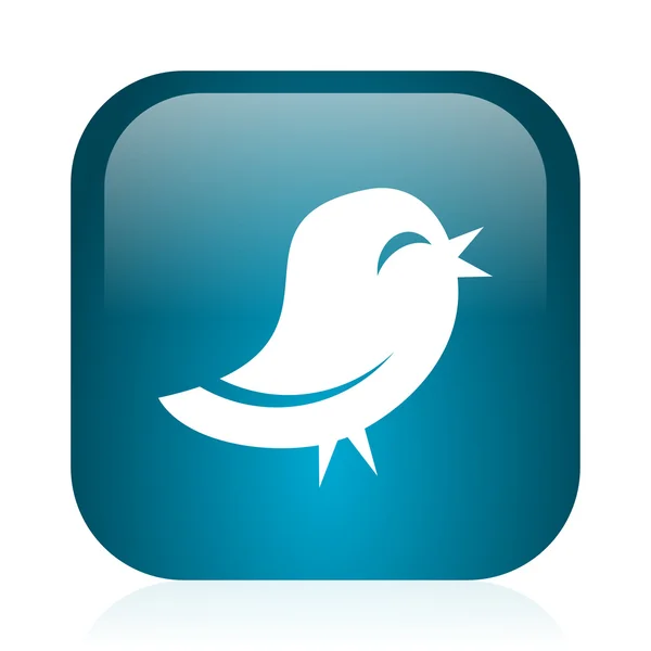 Twitter niebieski błyszczący ikona internet — Zdjęcie stockowe