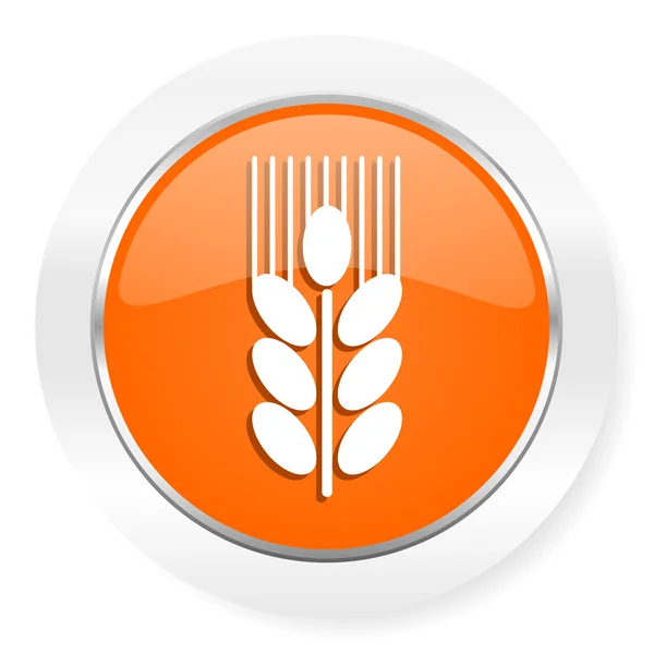 Иконка зерна — стоковое фото