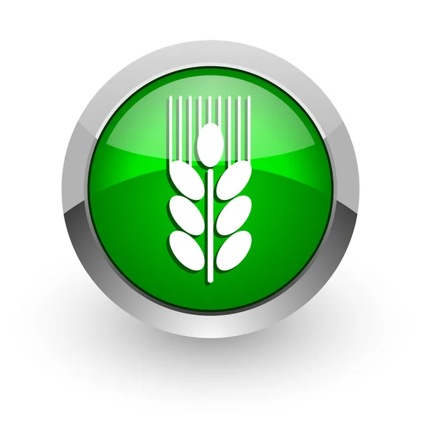 Grain green glossy web icon — Stock Photo, Image